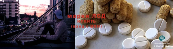 spice Белая Холуница