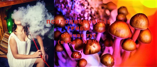 spice Белая Холуница