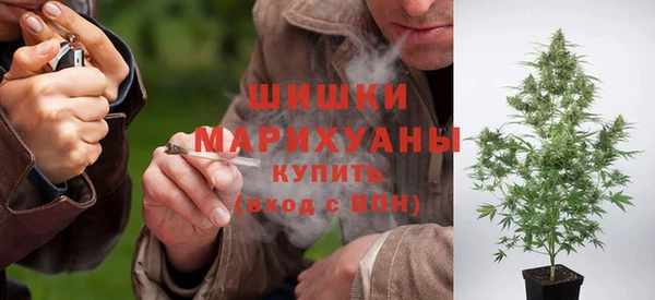PSILOCYBIN Белая Калитва