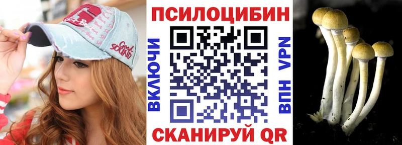 как найти закладки  Ивангород  Галлюциногенные грибы Psilocybe 
