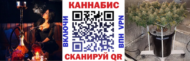 Конопля AK-47 купить наркотик Ивангород